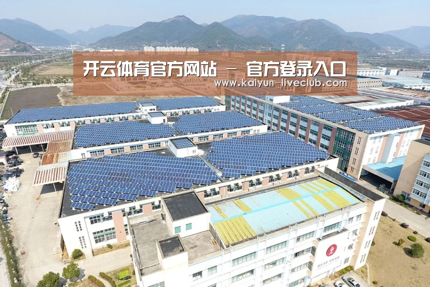 案例展示四