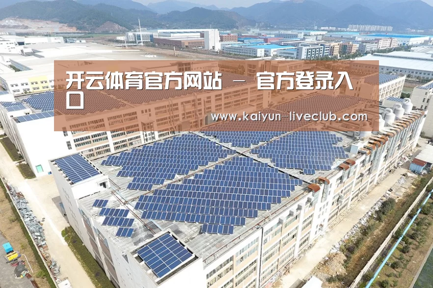 案例展示一