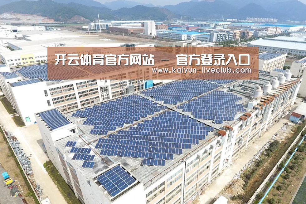 案例展示三