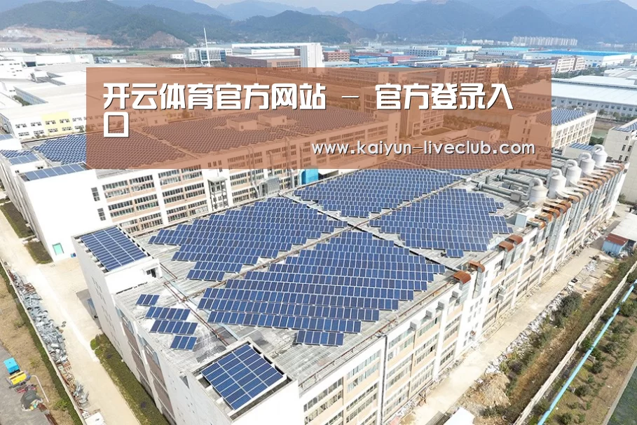 案例展示四