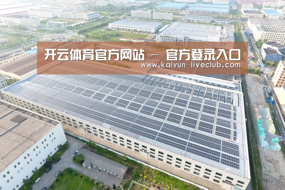 案例展示二