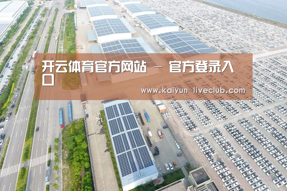 案例展示一