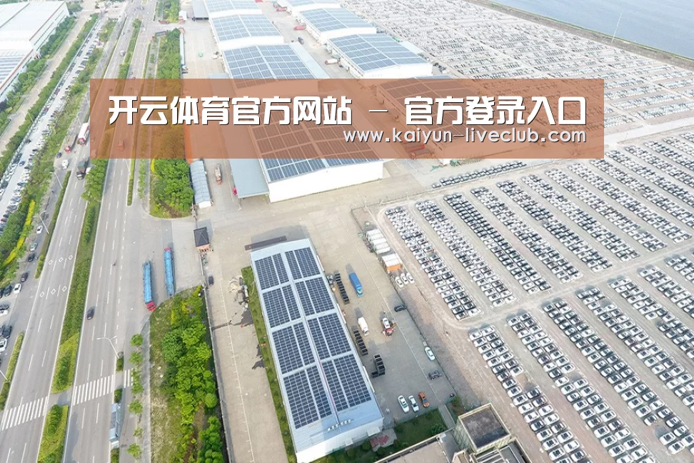 案例展示四