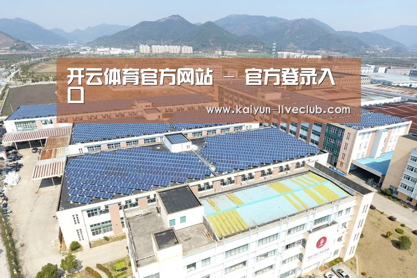 案例展示三