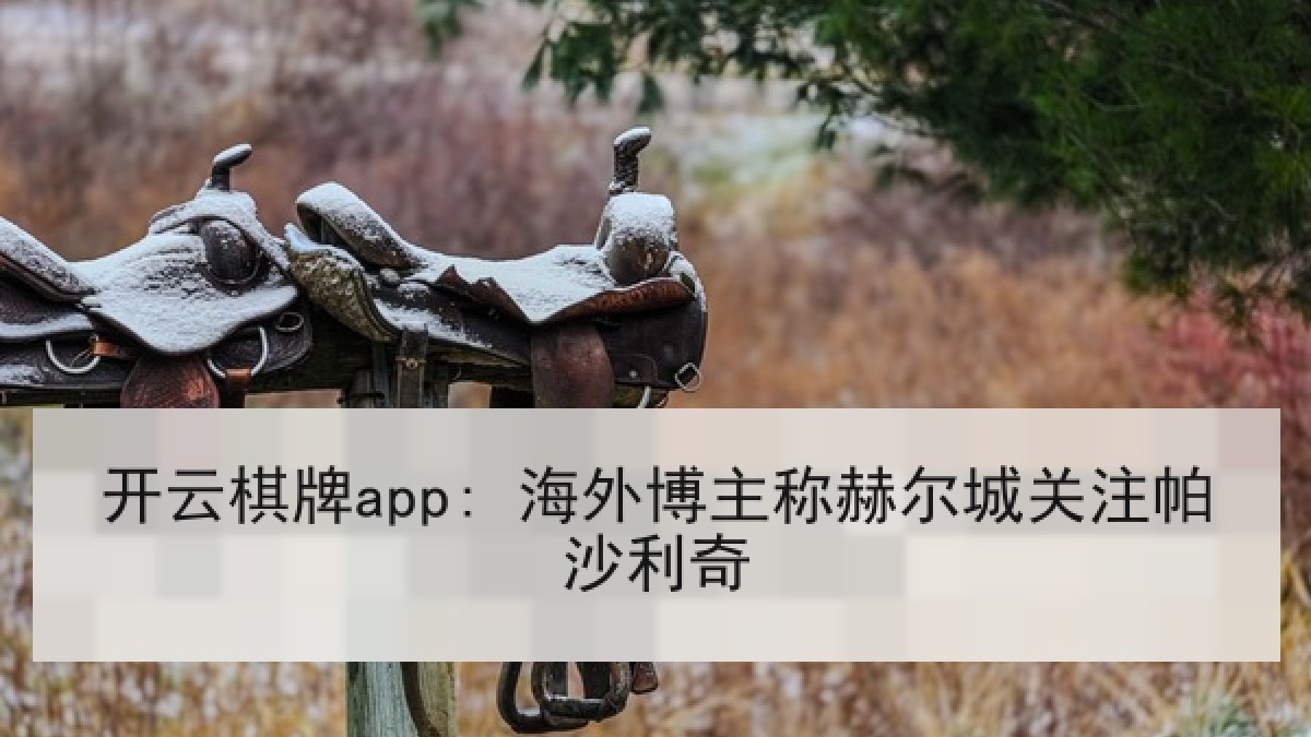 开云棋牌app: 海外博主称赫尔城关注帕沙利奇 开云棋牌app: 海外博主称赫尔城关注帕沙利奇