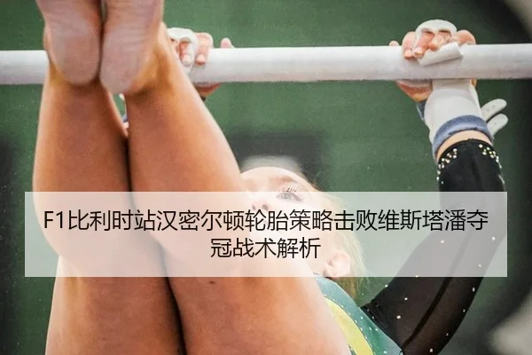 bi-li-shi-zhan-han-mi-er-dun-lun-tai-ce-lve-ji-bai-wei-si-ta-pan-duo-guan-zhan-shu-jie-xi-3-396.jpg