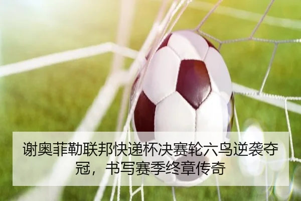 谢奥菲勒联邦快递杯决赛轮六鸟逆袭夺冠，书写赛季终章传奇