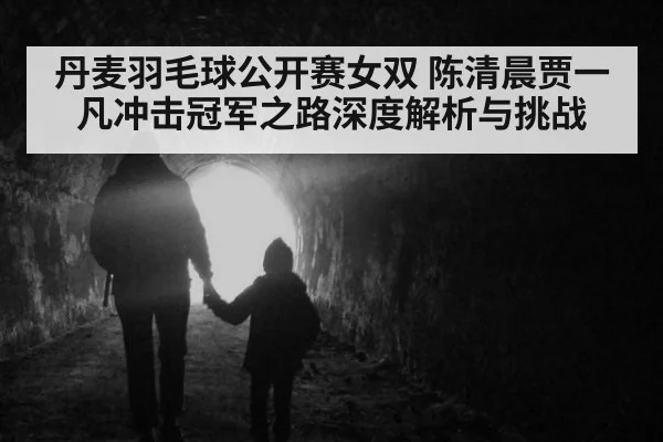 丹麦羽毛球公开赛女双 陈清晨贾一凡冲击冠军之路深度解析与挑战